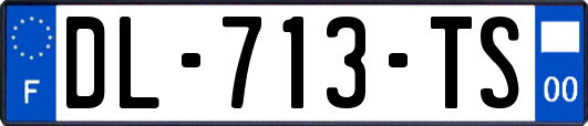 DL-713-TS