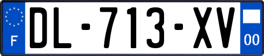 DL-713-XV