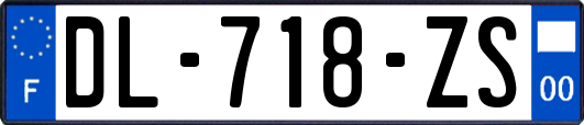 DL-718-ZS