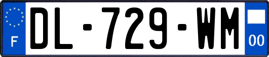 DL-729-WM