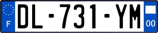 DL-731-YM