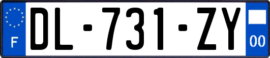 DL-731-ZY