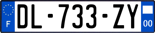 DL-733-ZY