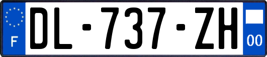 DL-737-ZH