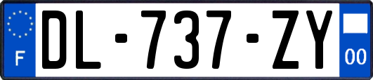 DL-737-ZY