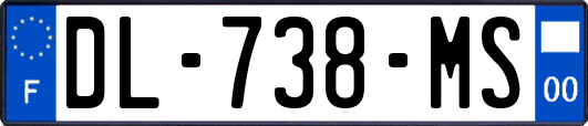 DL-738-MS