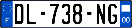 DL-738-NG