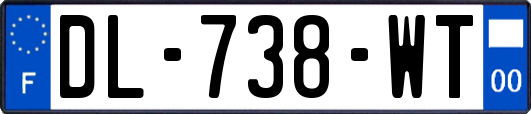 DL-738-WT