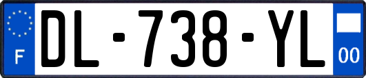 DL-738-YL