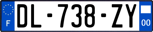 DL-738-ZY