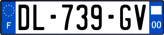 DL-739-GV