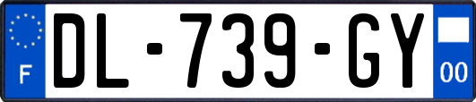 DL-739-GY