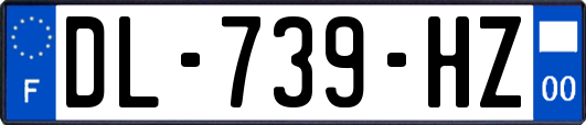 DL-739-HZ