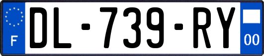 DL-739-RY