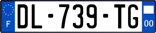 DL-739-TG