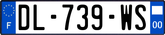 DL-739-WS