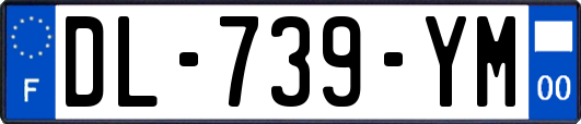 DL-739-YM