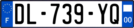 DL-739-YQ