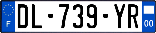 DL-739-YR