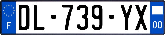 DL-739-YX