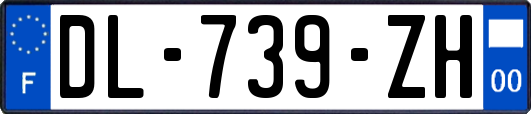 DL-739-ZH