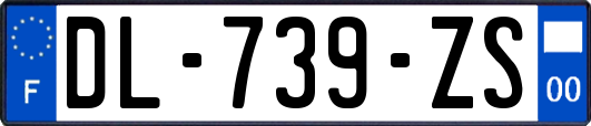 DL-739-ZS