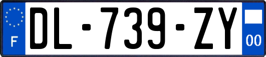 DL-739-ZY