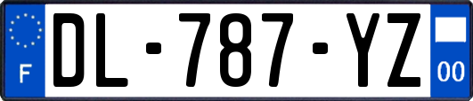 DL-787-YZ