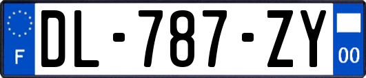 DL-787-ZY