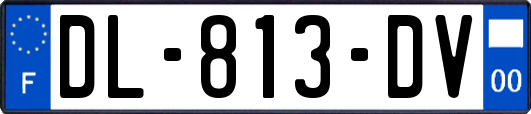 DL-813-DV