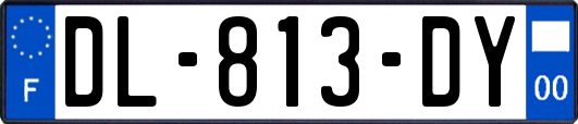 DL-813-DY