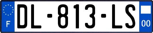 DL-813-LS