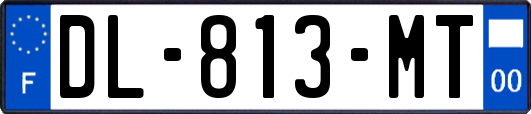 DL-813-MT