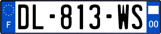 DL-813-WS