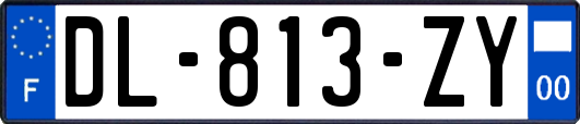 DL-813-ZY