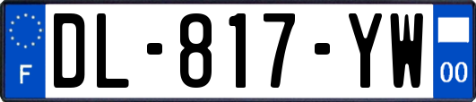 DL-817-YW