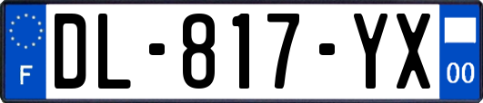 DL-817-YX