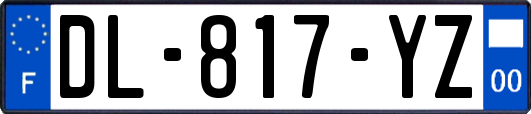 DL-817-YZ