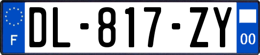 DL-817-ZY