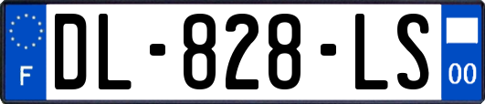 DL-828-LS