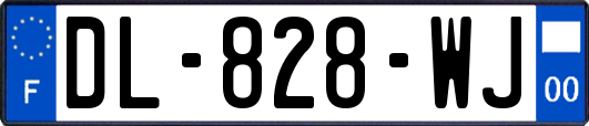 DL-828-WJ