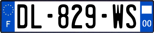 DL-829-WS