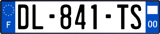 DL-841-TS