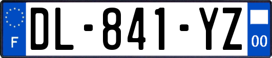 DL-841-YZ