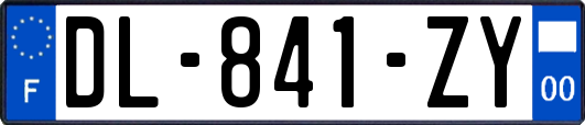 DL-841-ZY