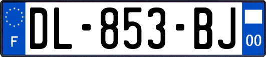 DL-853-BJ