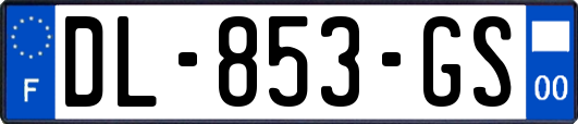 DL-853-GS