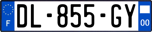 DL-855-GY