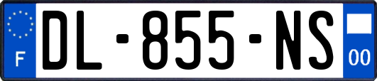 DL-855-NS