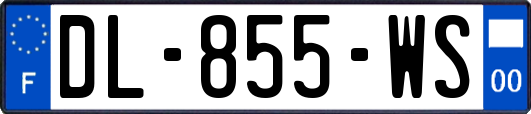 DL-855-WS